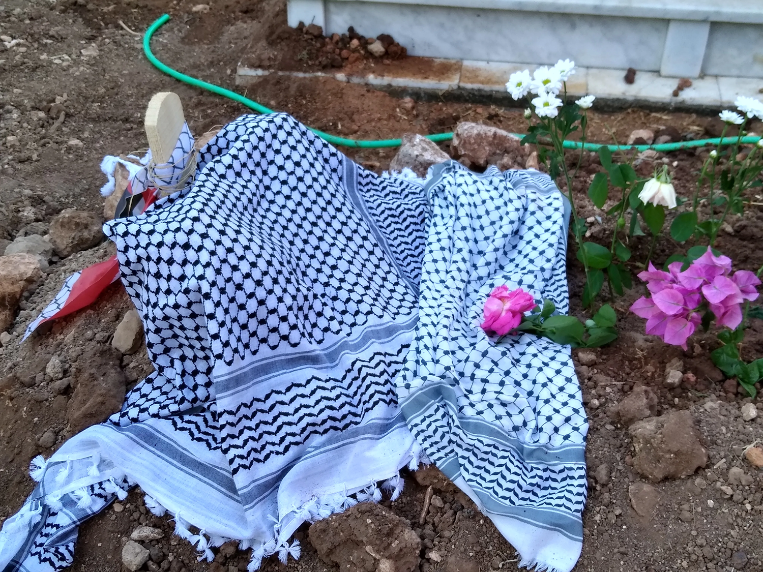  Ayşenur's grave in Didim Turkiye, after she was buried.