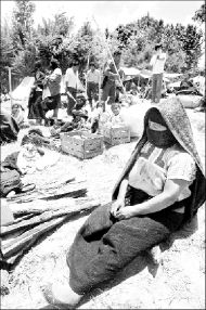 Zapatistas.
