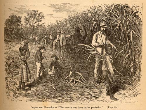 Class struggles, climate change, and the origins of modern agriculture - Vimarsana News
