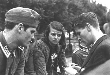 White Rose documents
