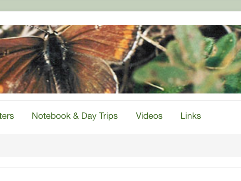 Header of the original page with a banner featuring a butterfly and green on white text.