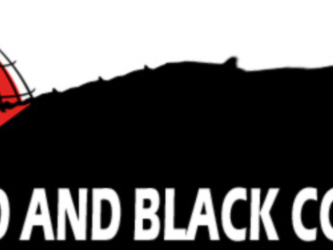 Red and Black Coordination