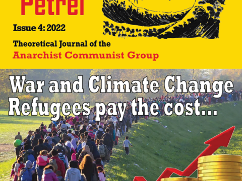 Stormy Petrel 4 cover