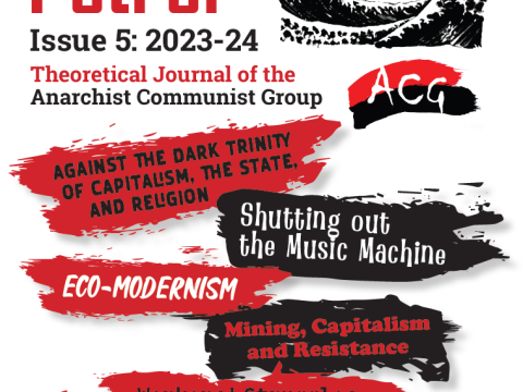 Stormy Petrel 5 cover