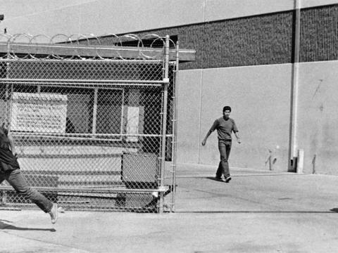 Immigration raid 1984