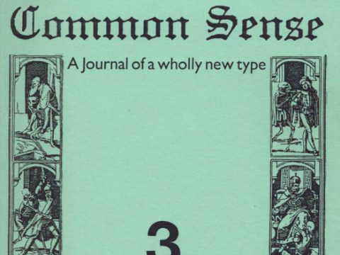 Common Sense 3 cover