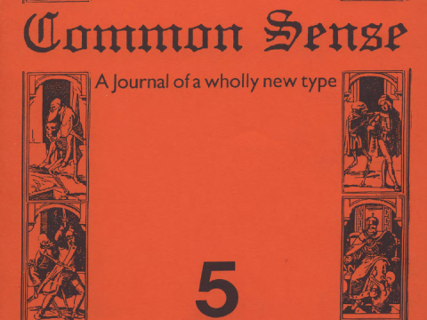Common Sense 5 cover