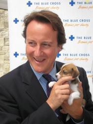 David Cameron