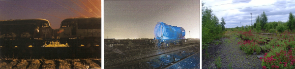 Healey Mills railway tracks and rewilding