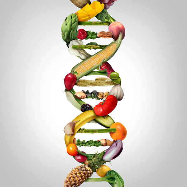 A DNA double helix formed of various vegetables