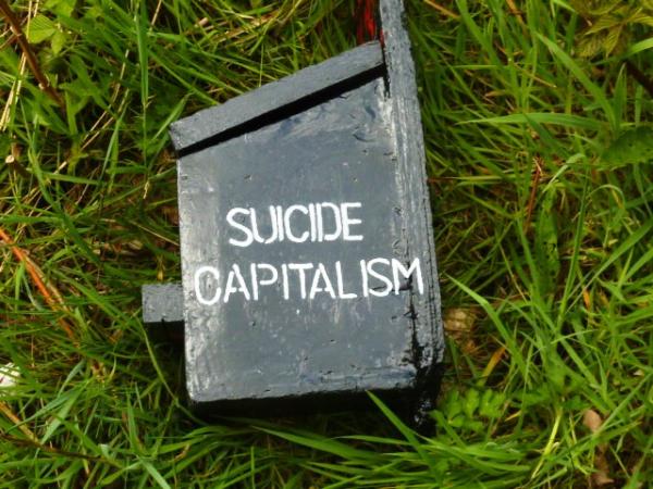 "Suicide Capitalism" stencilled in white letters on a black bird house