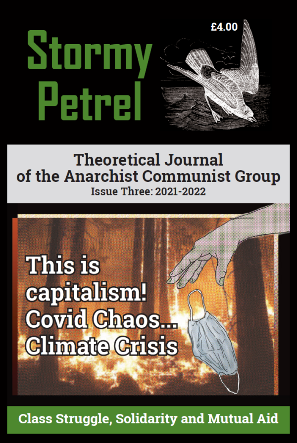 Stormy Petrel 3 cover