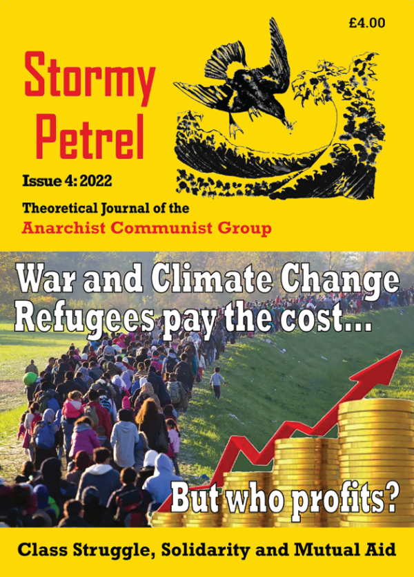 Stormy Petrel 4 cover