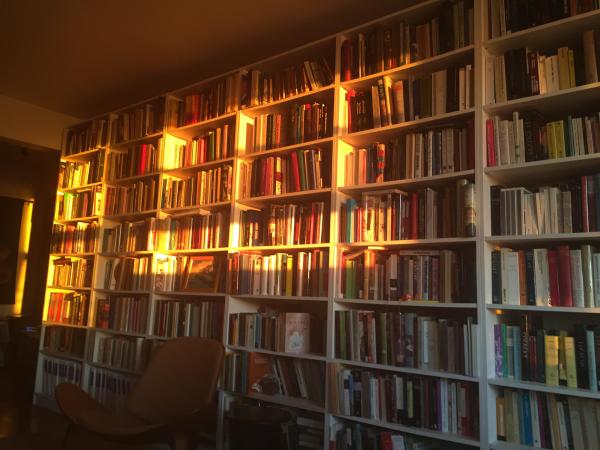 Loren's Library - sunlight falls on many shelves of books