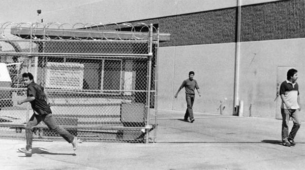 Immigration raid 1984