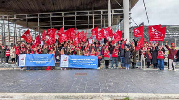 Health visitors rally outside the Senedd.png