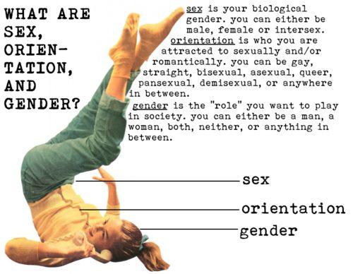 Sex, gender, orientation