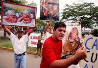 Pro-life campaigners welcome the proposed ban on abortion Pro-life campaigners welcome the proposed ban on abortion